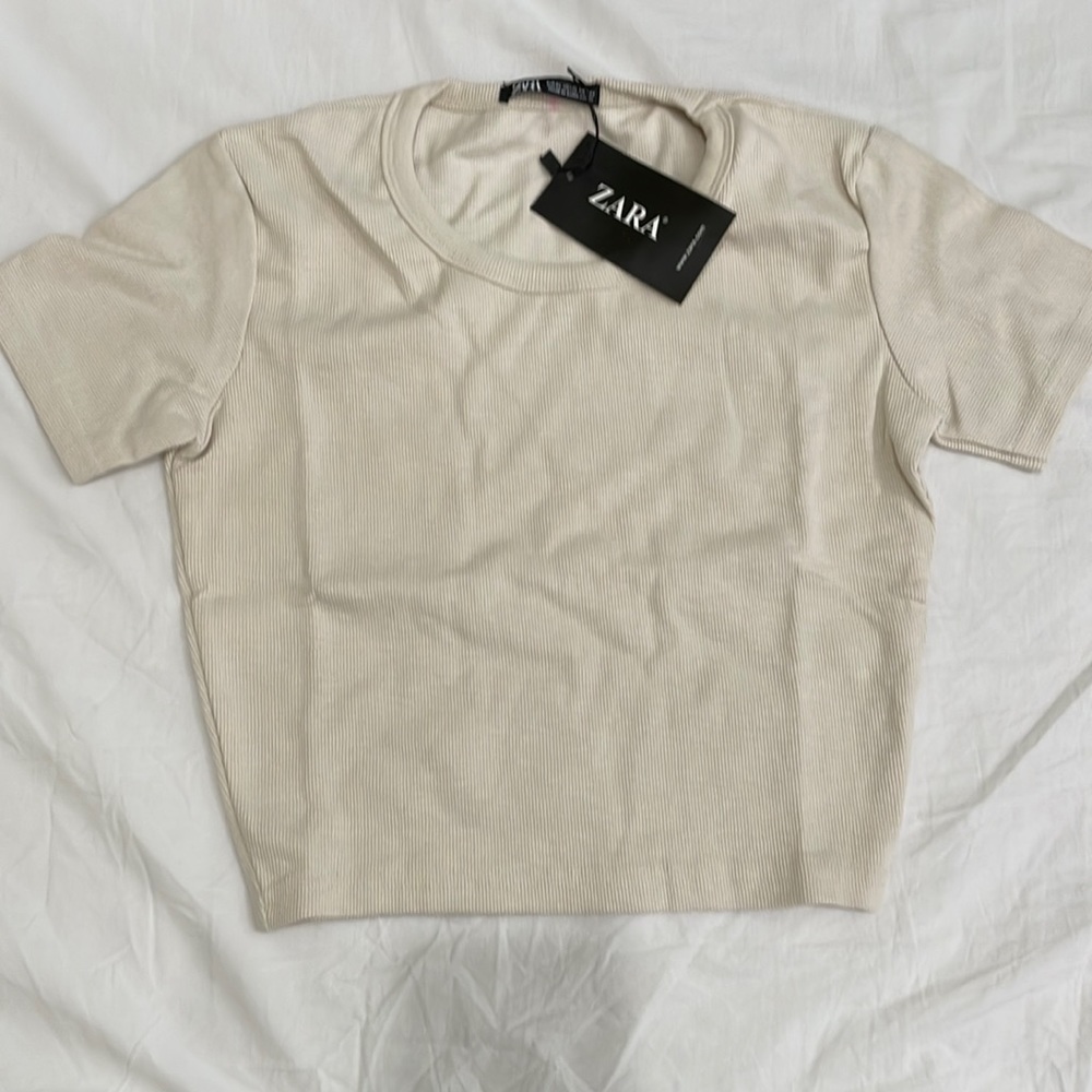 Zara crop top
